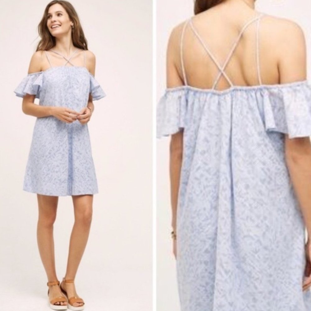 Anthropolgie HD in Paris Dayflower dress